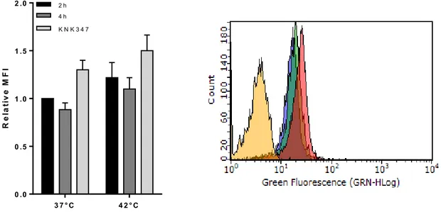 Figure 19: Exosome CD81 analysis following heat shock treatment 