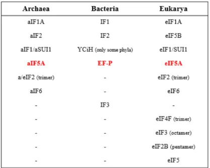 Table 1 Initiation factors in the primary domains (modified from Londei, 2005). 