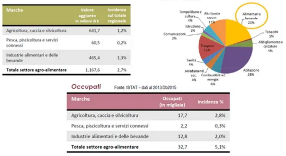 Fig. II.4 – Dati su produzione, consumi e occupati del settore agroalimentare  marchigiano riferiti al 2016 
