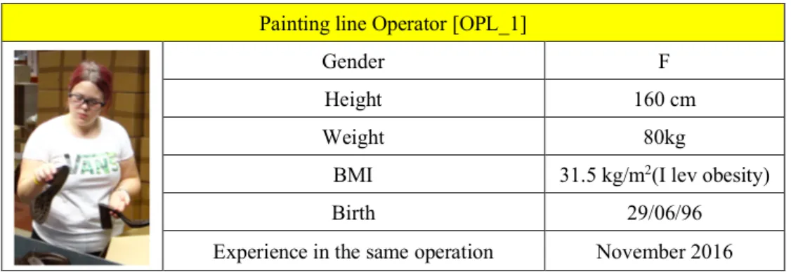 Table 9 – Painting line operator profile 