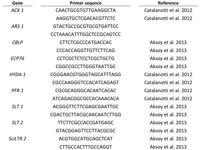 Table 3.4: List of primers used in this work. The primers for the PCR are shown in the 5’- 3’ orientation