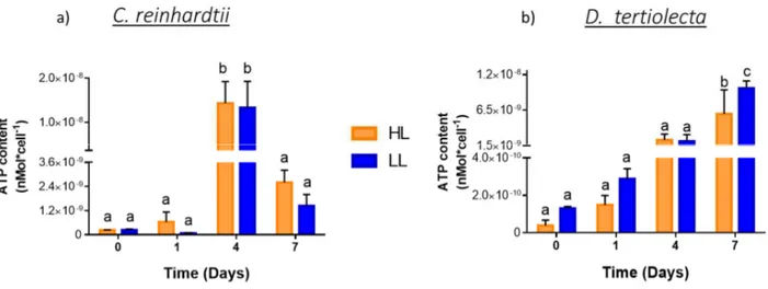 Figure 4.3: ATP content in C. reinhardtii (a) and D. tertiolecta (b) in aerobic condition, at two different  irradiances;  High  light  (HL  –  orange  bars)  and  Low  light  (LL  –  blue  bars)