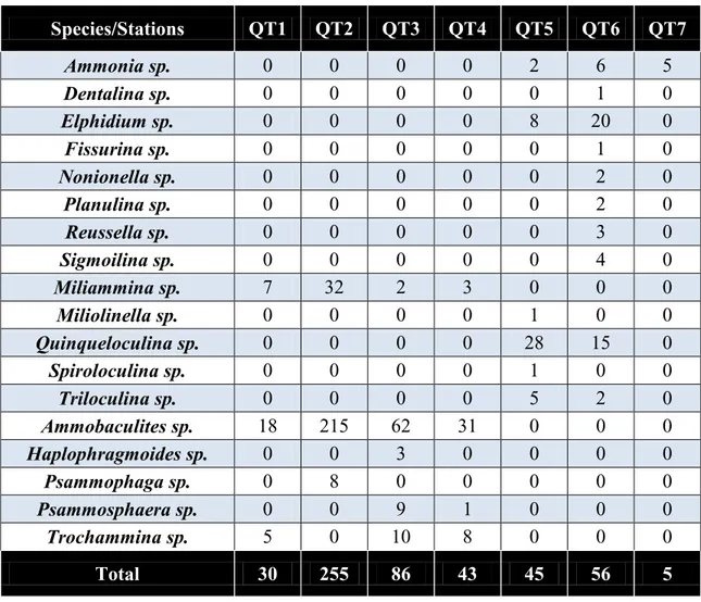 Table 2 - Foraminifera species abundance each station in Cua Viet, Cua Tung estuaries, Quang Tri  Province - Survey April 2017 