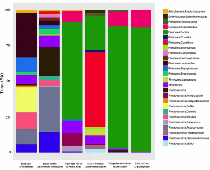 Figure 4.1.1.  Relative abundance (%) of the most abundant microbial taxa in edible insect samples