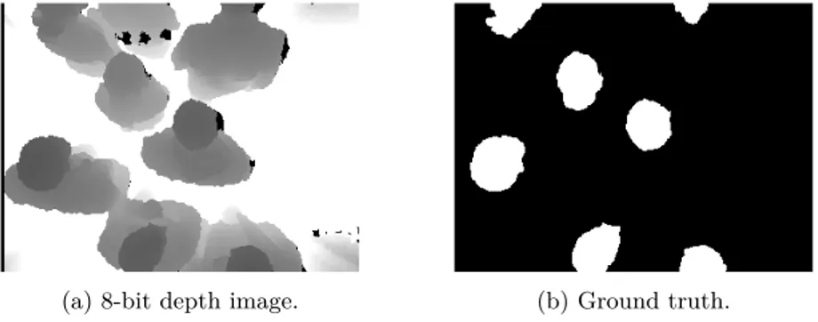 Figure 3.3 shows an example of a dataset instance that includes the 2 images described above (8-bit depth image and the corresponding ground truth).