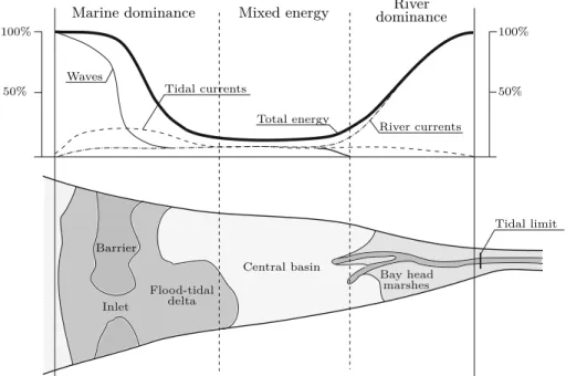 Figure 1.3: Distribution of energy types and main morphological features in a simplified wave-dominated estuary