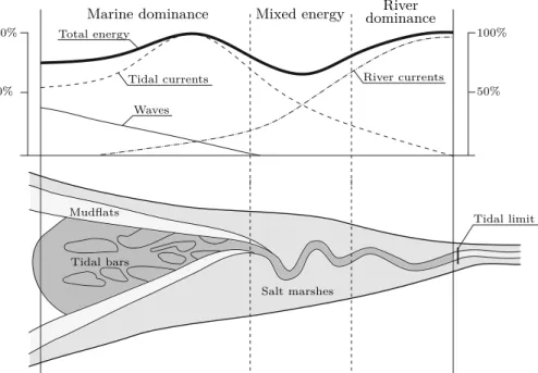 Figure 1.4: Distribution of energy types and main morphological features in a simplified tide-dominated estuary