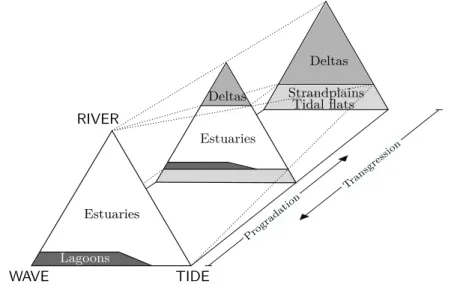 Figure 1.6: An example of evolutionary process of estuarine environments. The gradual progradation of coasts corresponds to a movement towards the back of the prism; a transgressive behavior is represented by a movement towards the front of the prism