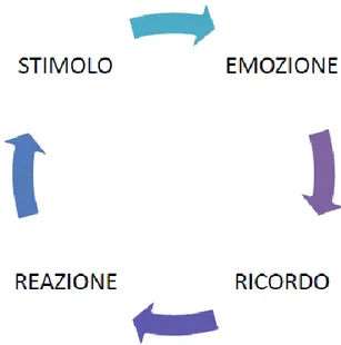 Figura 3:Il ciclo retroattivo di stimoli-reazioni basato sulle emozioni