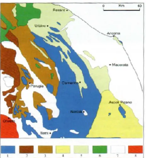 Fig.  3.2:  lineamenti  geologici  strutturali  nelle  Marche.  1:  dorsali  calcaree;  2,  3,  4:  principali  formazioni  torbiditiche  (calcarenitico  pelitiche  e  calcarenitico  marnose);  5:  bacini  miocenici  marchigiani  (marnosi,  calcarenitici, 