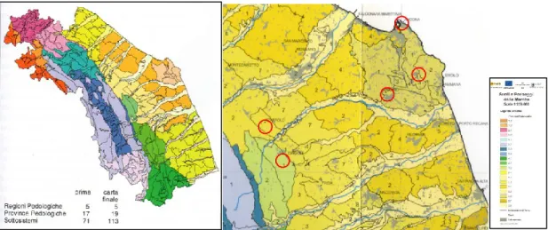 Fig.  3.4:  a  sinistra  regioni  e  province  pedologiche  nelle  Marche  e  relativa  legenda;  a  destra:  dettaglio  dell’area  delle  Marche centrali (ASSAM, 2006)