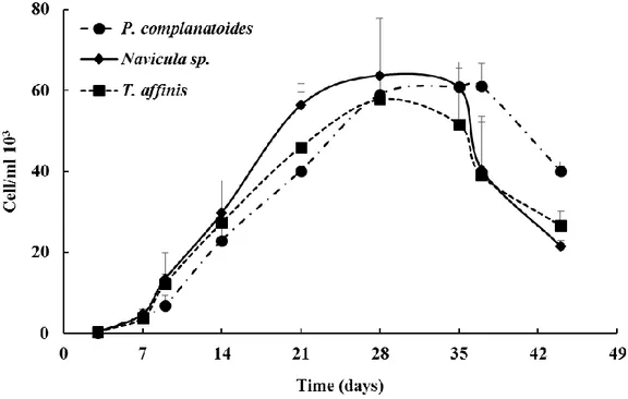 Figure 1. Cell abundances of Tabularia affinis, Proschkinia complanatoides and Navicula sp