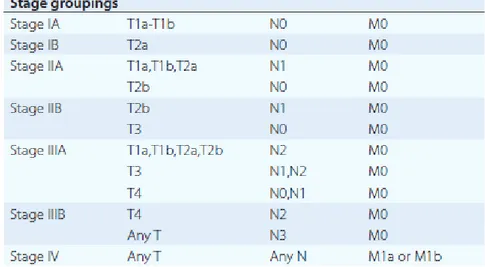 Table 2. Lung cancer stage groups based on T, N, and M. 