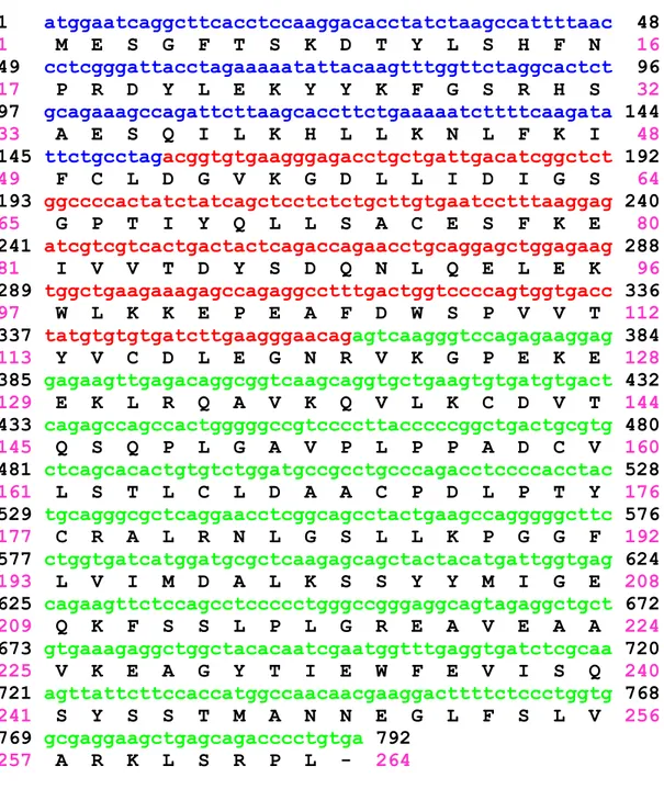 Figure  2.    Human  NNMT  coding  sequence.  Exons  are  highlighted  with  different 