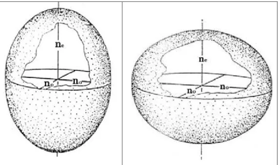 Fig. 2. 6-the uniaxial optical indicatrix is shown in the pictures (positive on the left, with n e &gt;n o , and negative on the 