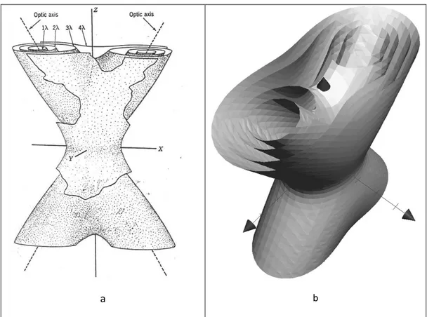 Fig. 2. 11- three-dimensional reconstruction of the equal path difference curves in  biaxial crystals,  (a)  by  [26]