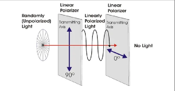 Fig.  2.  12  a  schema  of  the  behavior  of  the  polarizer.  In  typical  optical  devices  like  polariscopes  or  polarized  microsopes, the second polarizer (0°) is called analyzer