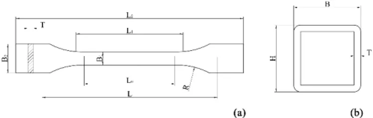 Figure 3.1. Geometries of tested specimens: dog-bones (a) and squared tubular (b) profiles