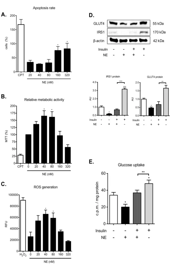 Fig.	 6.	 NE	 impairs	 glucose	 uptake	 in	 BeWo	 cells.	 (A)	 Apoptotic	 effect	 of	 NE	 in	 BeWo	 cells	 at	