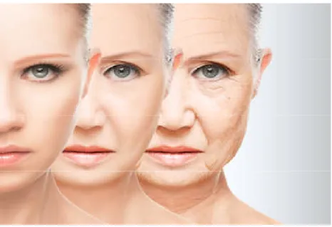 Figura 6 Effetto dell’invecchiamento cutaneo visibile su diversi soggetti a diverse età