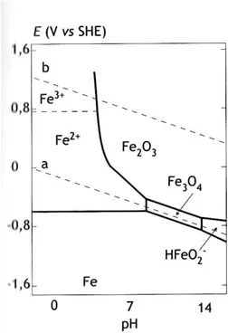 Figura 2.2. Diagramma di Pourbaix del ferro 