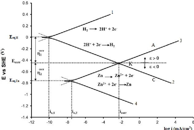 Figura 2.4. Diagramma di Evans dello zinco in ambiente acido 