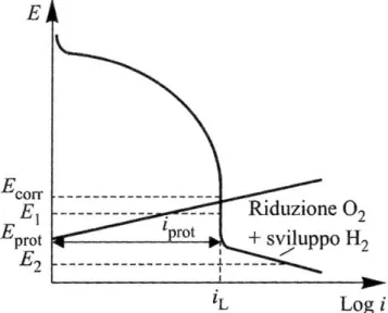 Figura 3.1. Diagramma schematico potenziale/corrente che mostra l'influenza di una polarizzazione esterna  catodica o anodica 