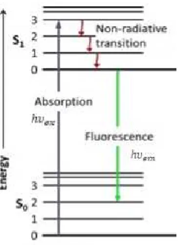 Figure 2.4.  Jablonski diagram describes most of the relaxation mechanisms 