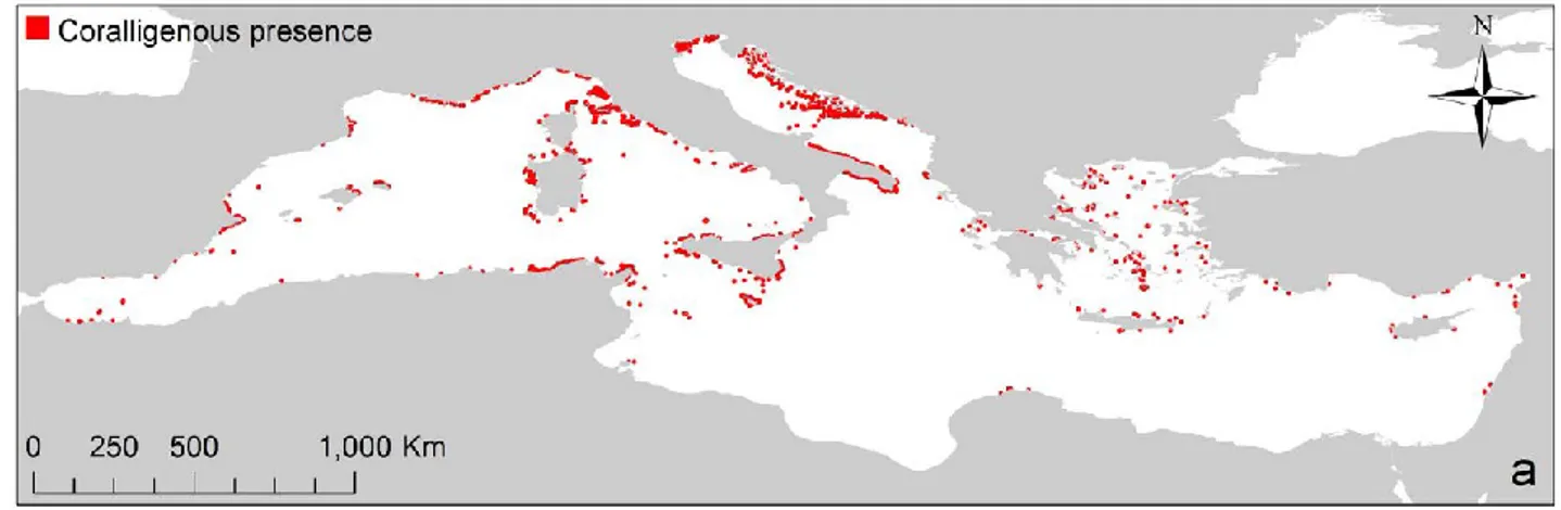 Figure 2.2 – Examples of data sheets of concretions’ distribution from Agnesi et al. (2009)