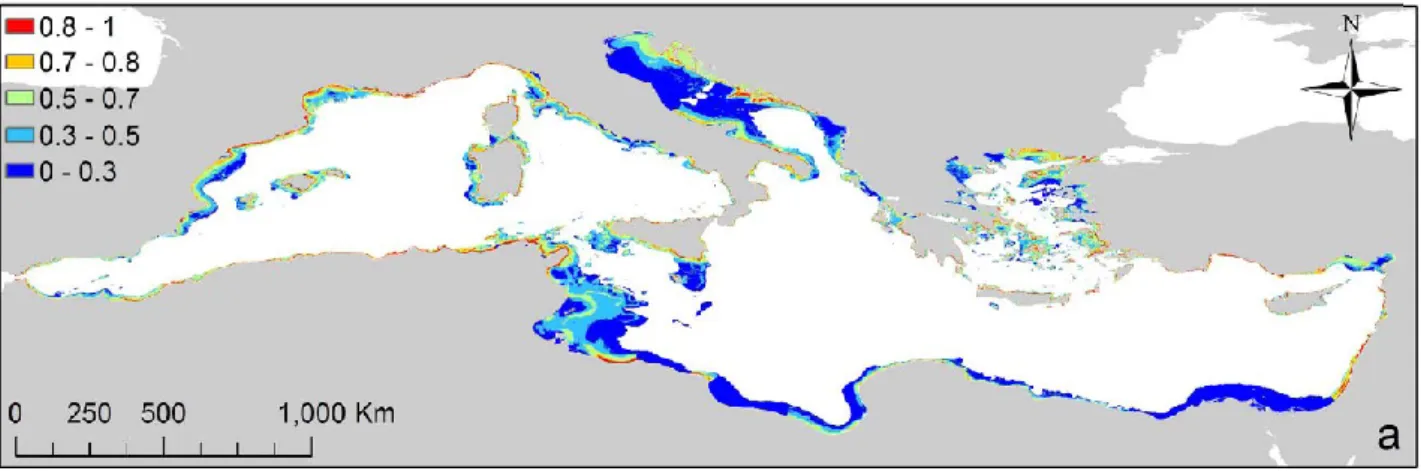 Figure 2.4 - Occurrence probability map for coralligenous assemblages throughout the Mediterranean Sea (from  Martin et al., 2014)