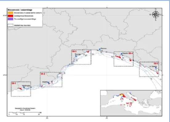 Figure  4.2  –  Distribution  of  coraligenous,  pre-coralligenous  and  detritic  bottoms  along  Ligurian  coast  (from  Agnesi et al., 2009)