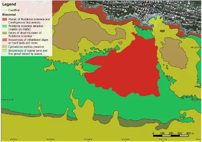 Figure 4.5 – Habitat distribution map of the seabed in the vicinity of Bogliasco. 