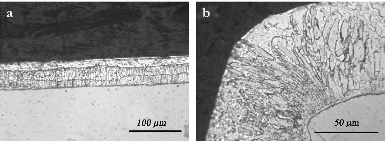 Figure 5-3. SEM image of cross-sectional area of the hot-dip galvanized coating on the steel bar 