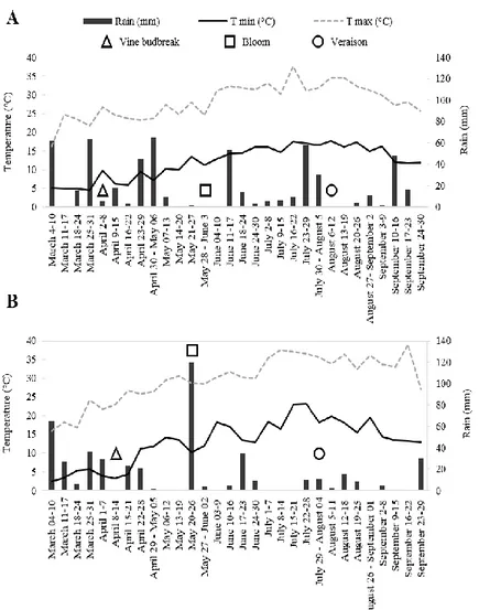 Figure  1.  Climate  data  and  main  phenological  stages  of  grapevines  recorded through the study seasons, from March to September in 2014  (A) and 2015 (B) by the weather station located at Agugliano (AN)