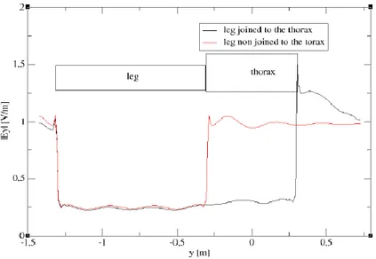 Figure 3.4.: E field distribution inside a leg illuminated at 1 GHz by a plane wave with |E|= 1V /m, considering only the leg (red line) and the whole human body model (black line)