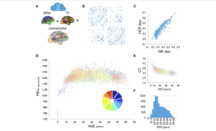 FIGURE 1 | (A) For each dataset, DWI tractography was combined with T1-based parcellation of cerebral brain regions to reconstruct a brain network