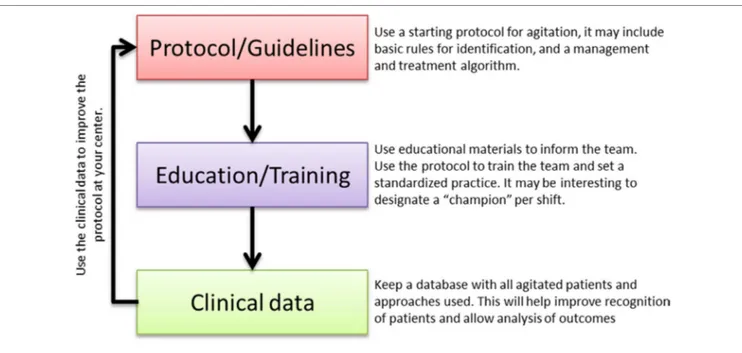 FigURe 4 |Action plan to reduce current barriers and  optimize the procedures and interventions for managing the agitated patient.