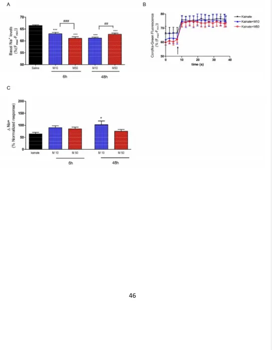 FIGURE 8: Assays in cultured cortical cells. Effect of 6 h or 48 h preincubation with  MDMA 10 (M10) or 50 µM (M50) on intracellular sodium levels