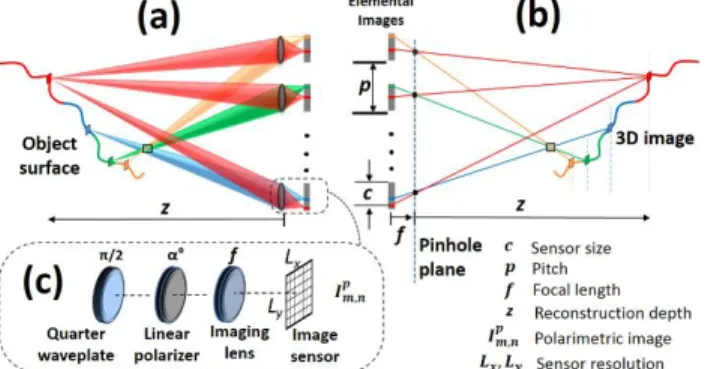 Figure 1. The previously presented integral imaging-based 3D polarimetric imaging. (a) 3D optical sensing, (b) computational  reconstruction, and (c) polarimetric imaging [16]