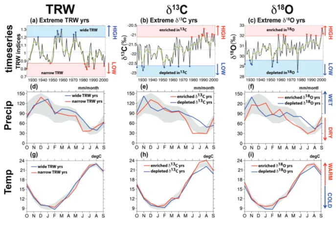 Fig. 5. Lillo tree-ring series and seasonal cycles for precipitation and temperature: (a- (a-c) Time-series of the Lillo tree-ring chronologies for the period 1925–2002 for (left) TRW, (middle) δ 13 C, and (right) δ 18 O