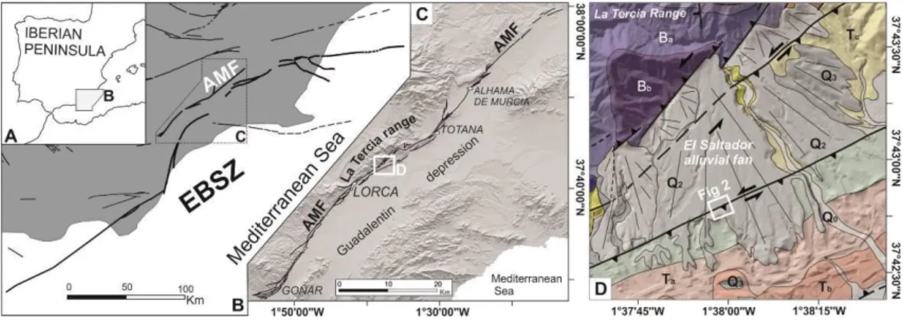 Figure 2. A) Alhama de Murcia fault (AMF) in the Iberian Peninsula; B) the AMF is a part of the Eastern  Betics Shear Zone (EBSZ faults in bold line); C) structural map of the AMF; D) geological map of the El  Saltador alluvial fan: Ba-b, Palaeozoic baseme