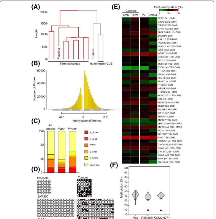 Fig. 2 Characterization of DNA methylation in the placenta and tumour using the Illumina EPIC methylation array