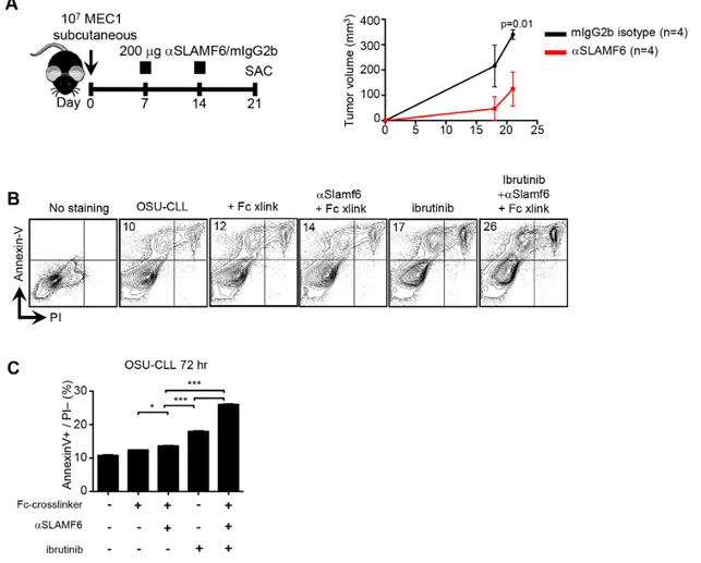 Figure 8: Anti-human SLAMF6 affects progression of human MEC-1 and OSU CLL cells in vitro and in vivo