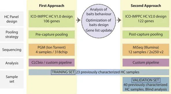 Figure 2.  I2HCP set up and validation scheme. Summary of the different components of the two approaches  developed