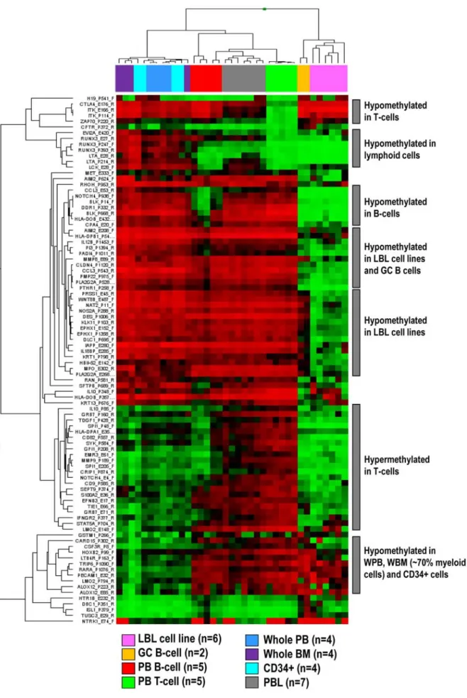 Figure 1. Hierarchical cluster analysis of CpGs differentially methylated in distinct non-malignant hematopoietic cell types