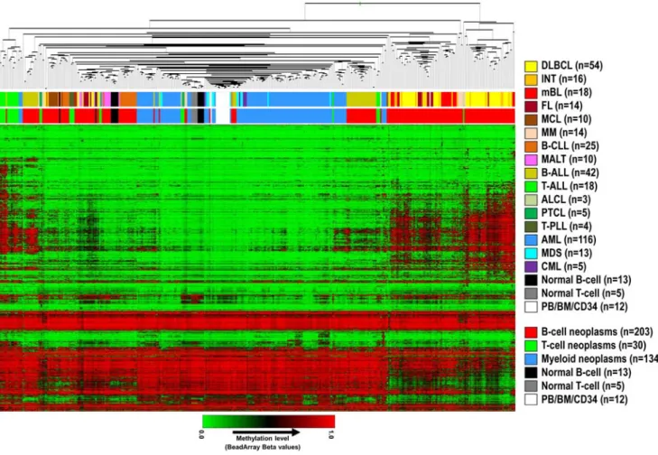 Figure 2. Hierarchical cluster analysis of DNA methylation data obtained from 367 HNs and 30 control samples