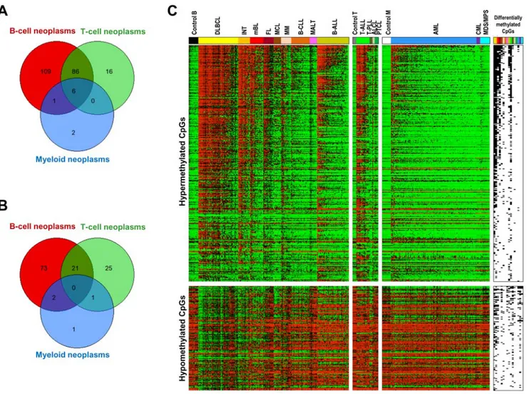 Figure 4. Venn diagrams showing the overlap of genes. (A) Hypermethylated or (B) hypomethylated in B-cell, T-cell and myeloid neoplasms