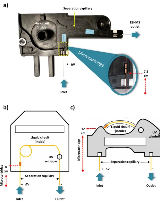 Figure 2 Schematic representation of SPE-CE capillaries installed in the cartridge 