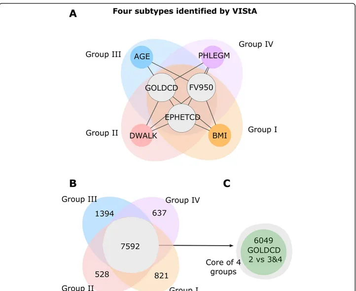 Figure 3 Four subtypes and differentially expressed genes. A The combinations of phenotypic measures that define the subtypes predicted by the VIStA method: all four subtypes share a common core of high values of GOLDCD, FV950 and EMPHETCD, reflecting dise