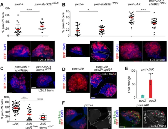 Fig. 2. JAK-induced hypertrophy requires Stat92E, Dome and Upd3. (A-C) Scatterplots and immunofluorescence images showing the proportion of pxn+ cells per primary lobe (% pxn+/N cells) and lymph glands expressing the indicated transgenes under the control 